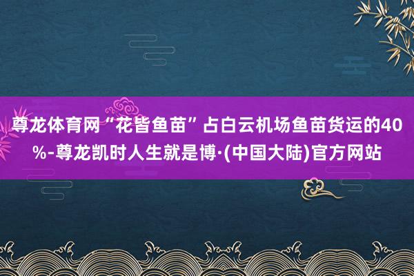 尊龙体育网“花皆鱼苗”占白云机场鱼苗货运的40%-尊龙凯时人生就是博·(中国大陆)官方网站