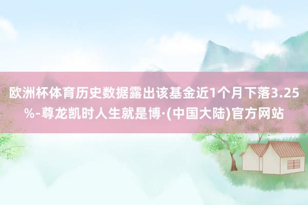 欧洲杯体育历史数据露出该基金近1个月下落3.25%-尊龙凯时人生就是博·(中国大陆)官方网站