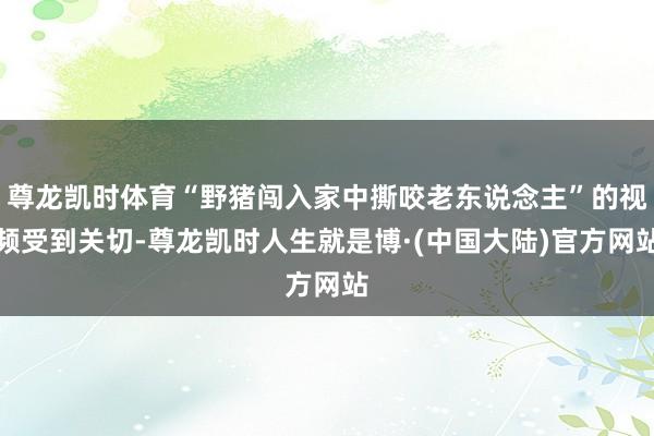 尊龙凯时体育“野猪闯入家中撕咬老东说念主”的视频受到关切-尊龙凯时人生就是博·(中国大陆)官方网站