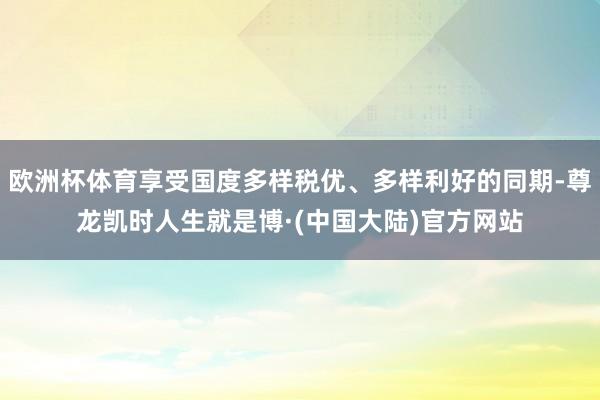 欧洲杯体育享受国度多样税优、多样利好的同期-尊龙凯时人生就是博·(中国大陆)官方网站