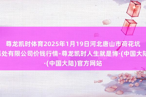 尊龙凯时体育2025年1月19日河北唐山市荷花坑市集规画惩处有限公司价钱行情-尊龙凯时人生就是博·(中国大陆)官方网站