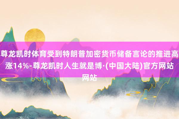 尊龙凯时体育受到特朗普加密货币储备言论的推进高涨14%-尊龙凯时人生就是博·(中国大陆)官方网站